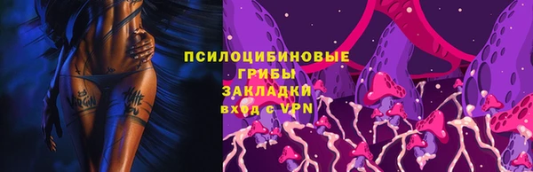 дмт Алексеевка