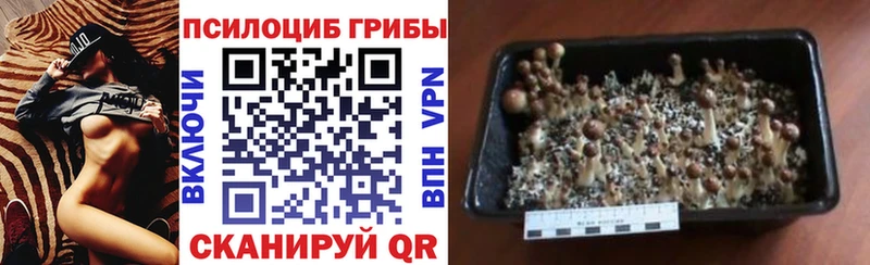 Галлюциногенные грибы Magic Shrooms  Александровское 